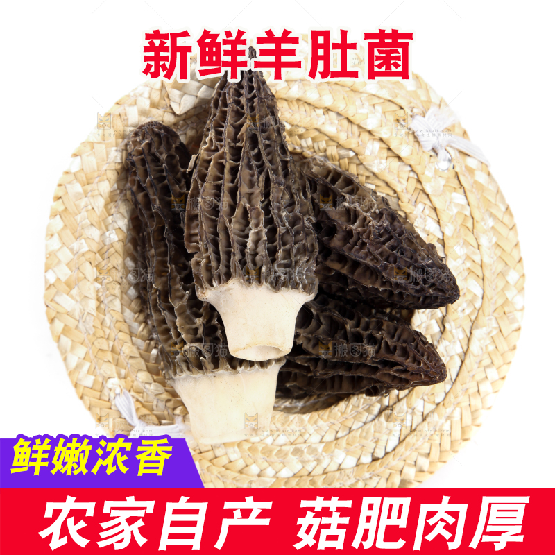 草帽里装着羊肚菌