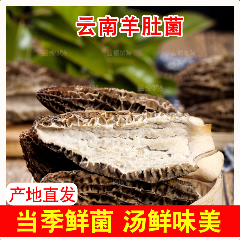 篮子里放着羊肚菌