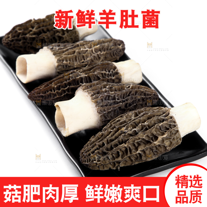 盘子里装着羊肚菌