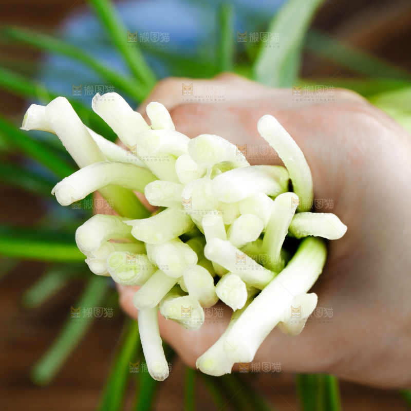 手里拿着小香葱
