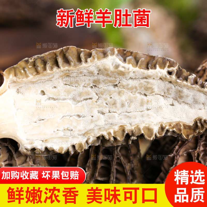 篮子里放着羊肚菌