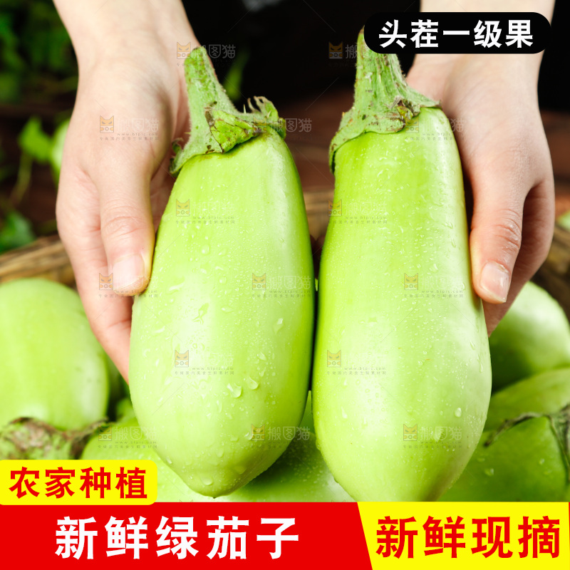 手里拿着青茄子