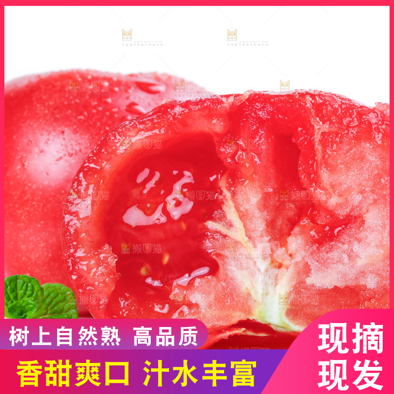 白底上的沙瓤西红柿