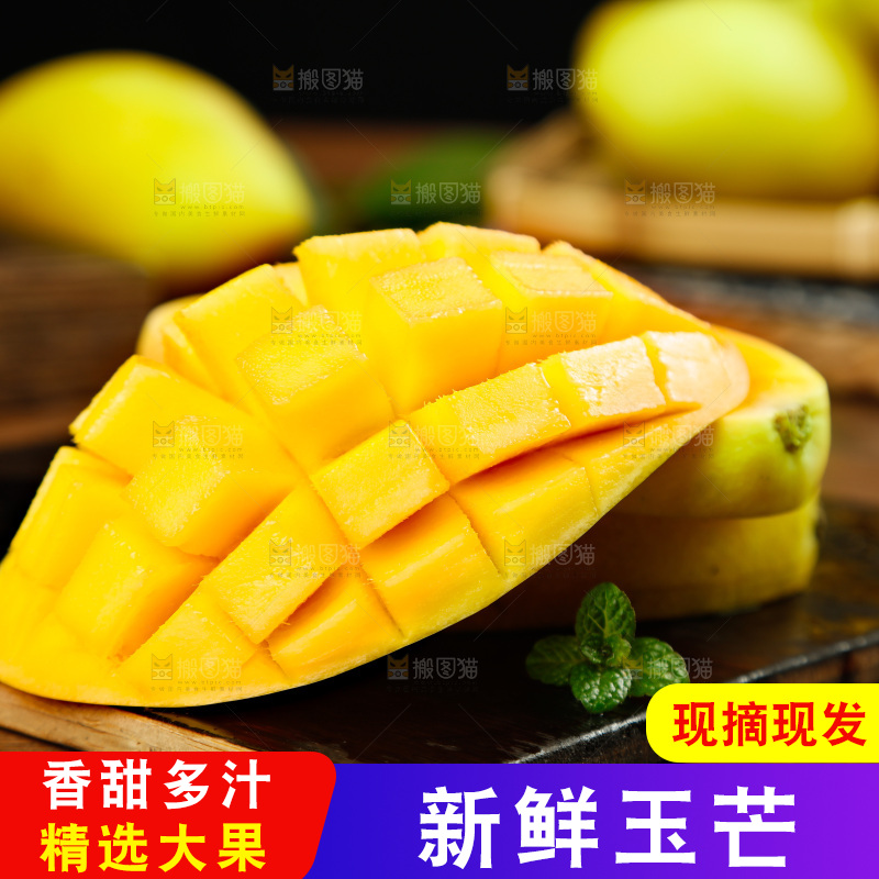 深底上摆放着玉芒