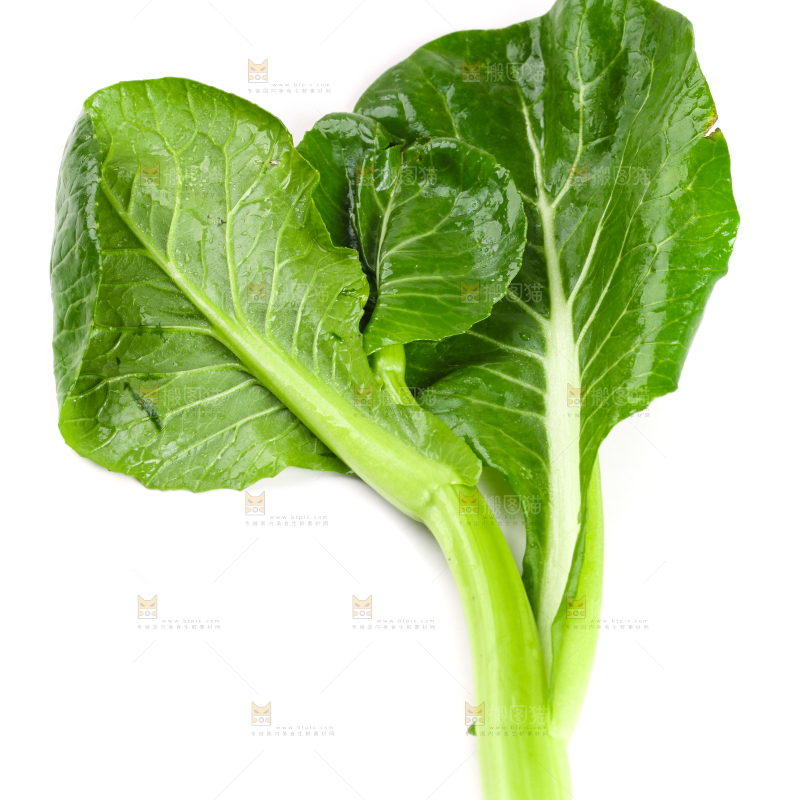 白底上放着菜苔