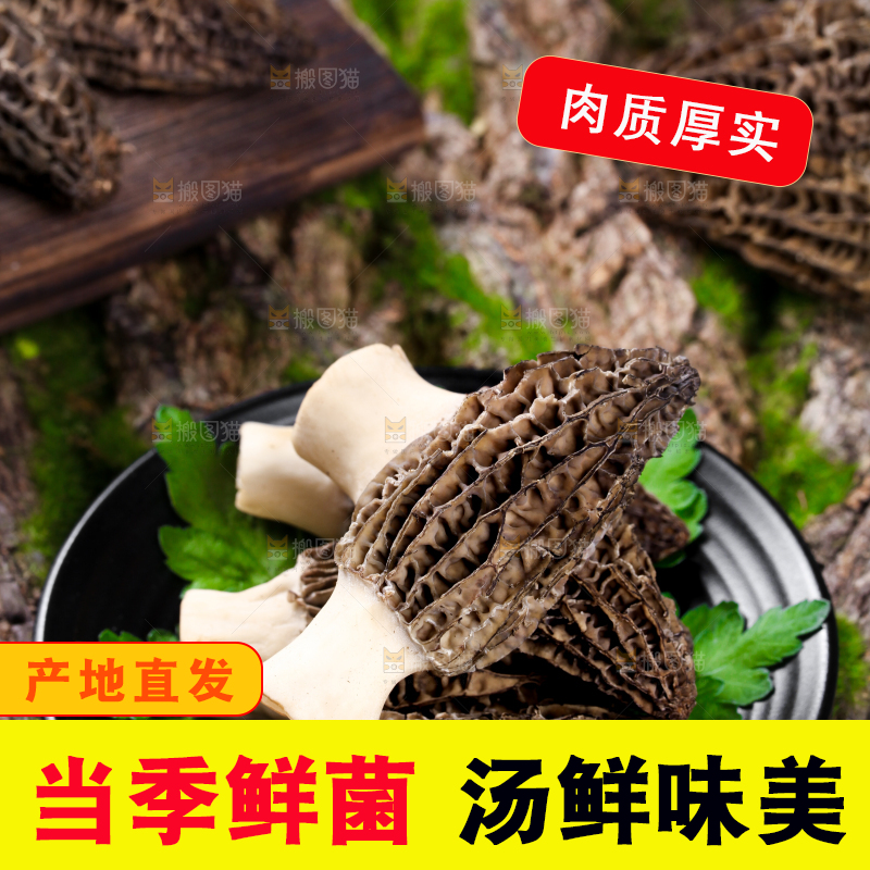 盘子里装着羊肚菌