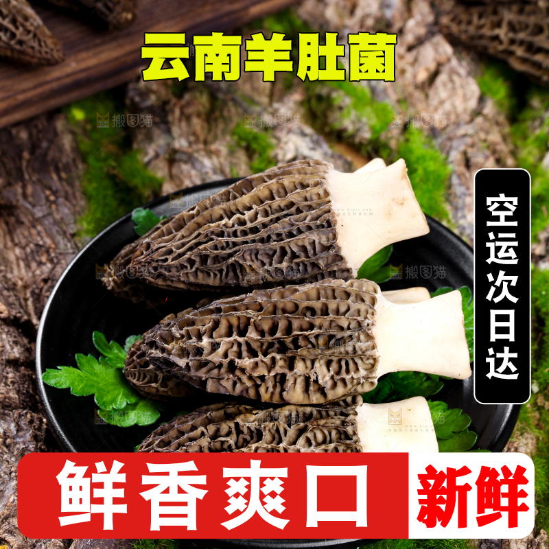 盘子里装着羊肚菌