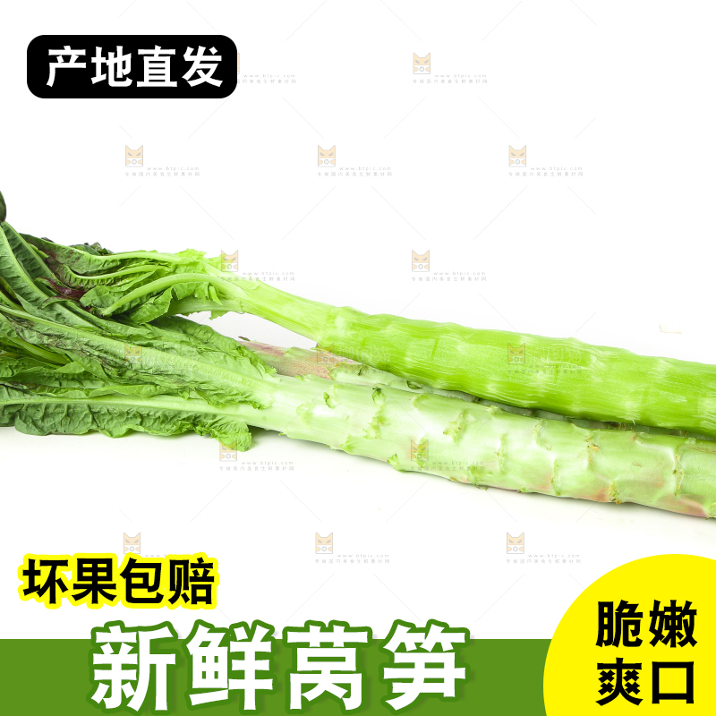 白底上摆放着莴笋