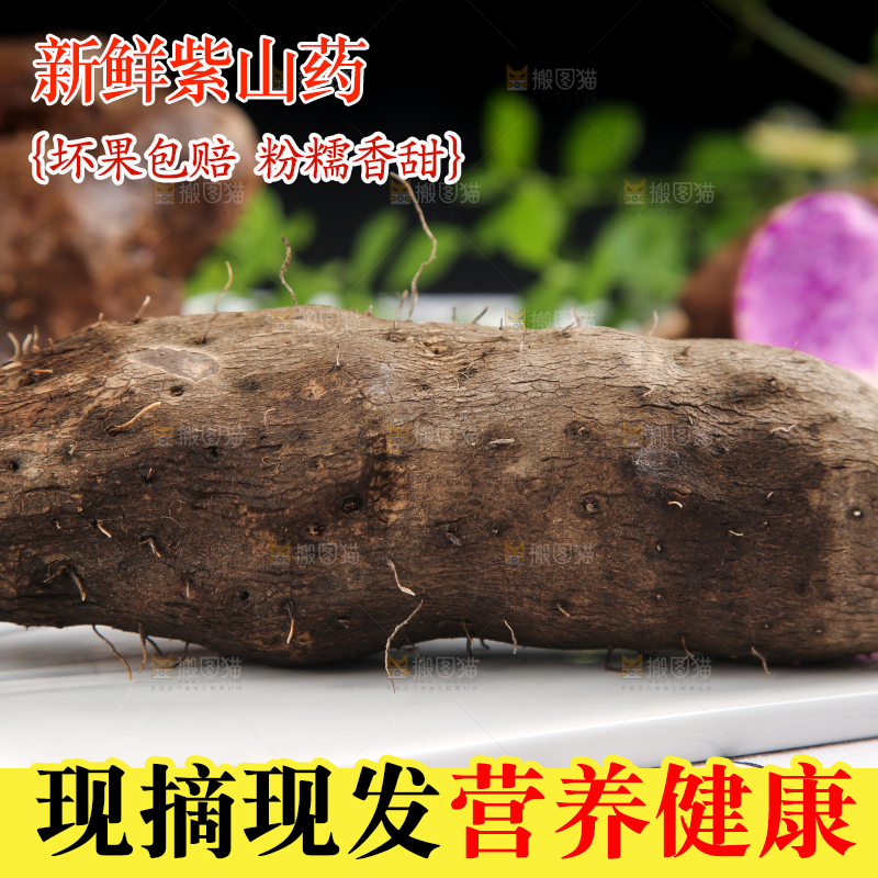 格子底上放着紫山药