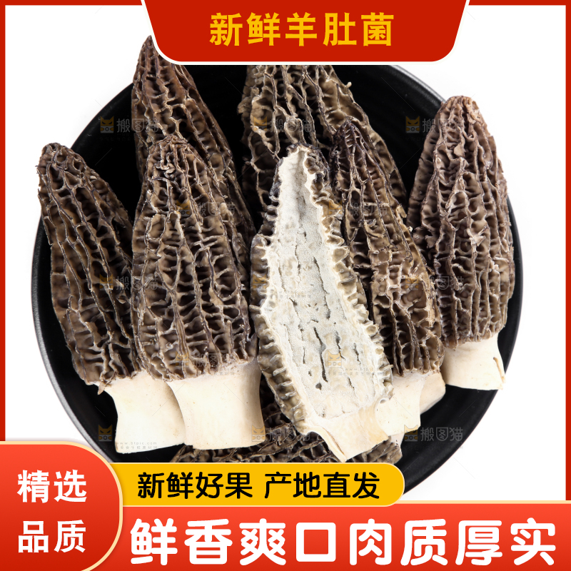 盘子里装着羊肚菌