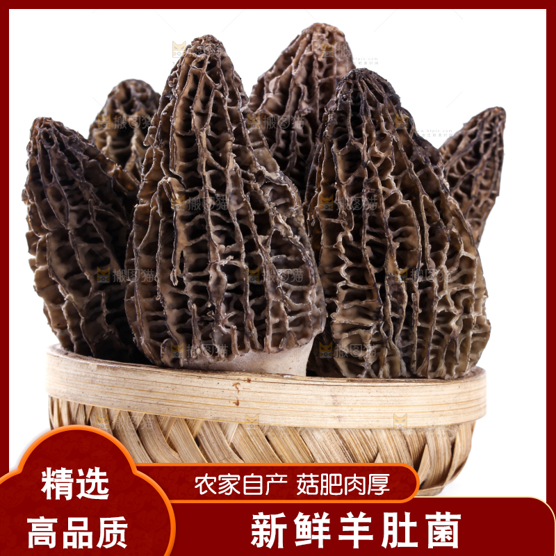 篮子里放着羊肚菇