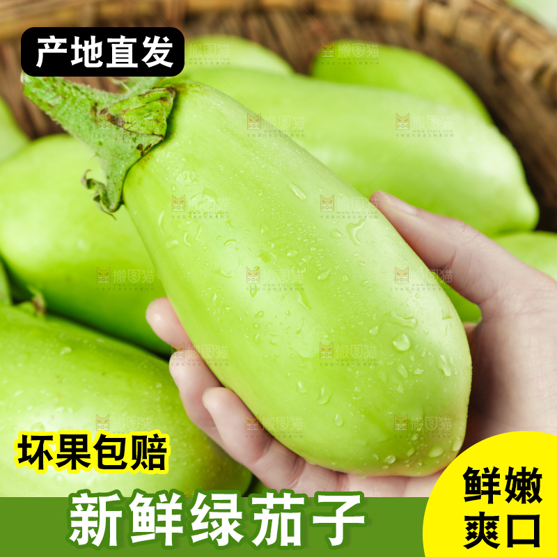 手里拿着青茄子