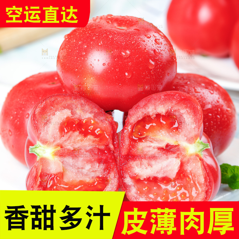 白底上的沙瓤西红柿
