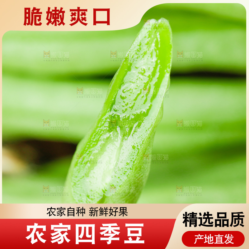 篮子里装着豆角