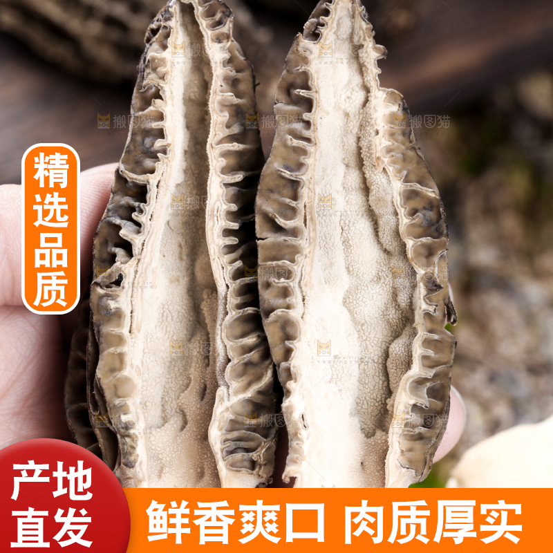 手里拿着羊肚菇