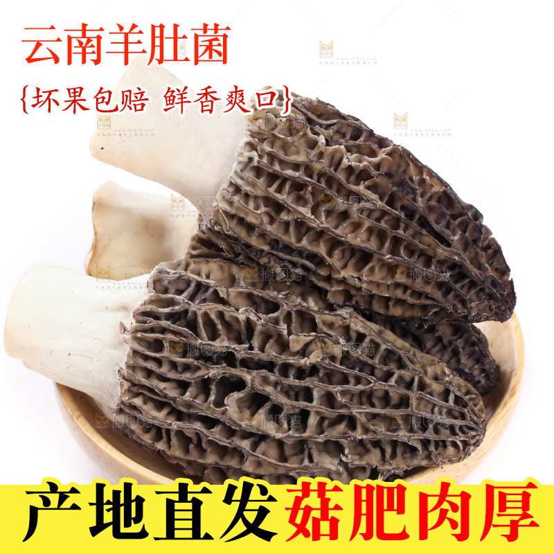 盘子装着羊肚菇