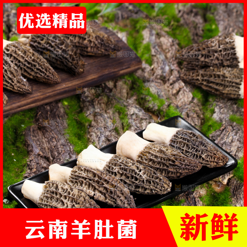 盘子里装着羊肚菌