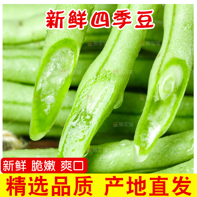 篮子里装着豆角
