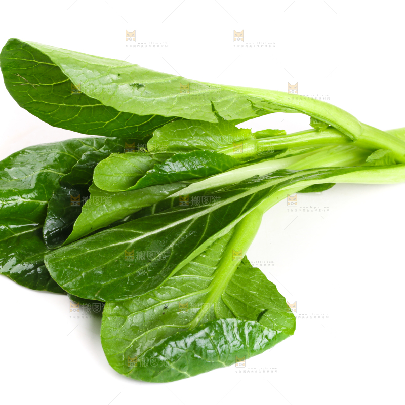 白底上放着菜苔