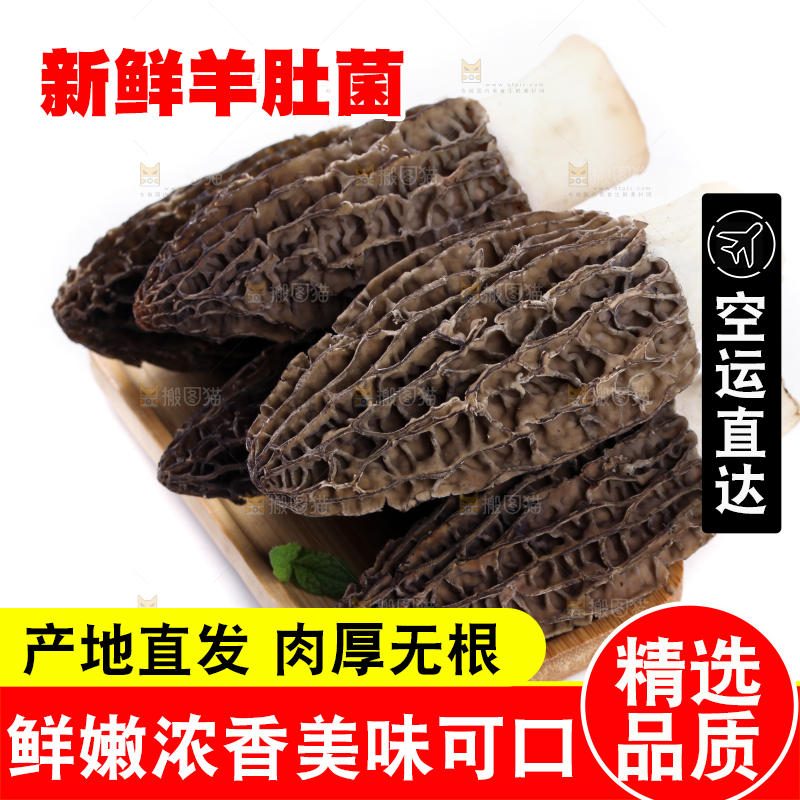盘子装着羊肚菇