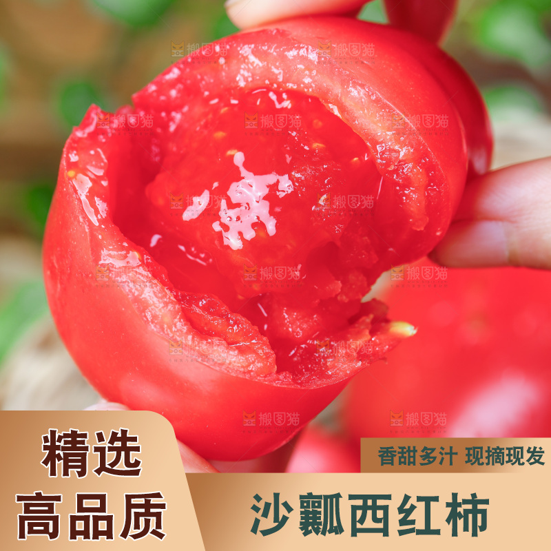 手里拿着沙瓤西红柿