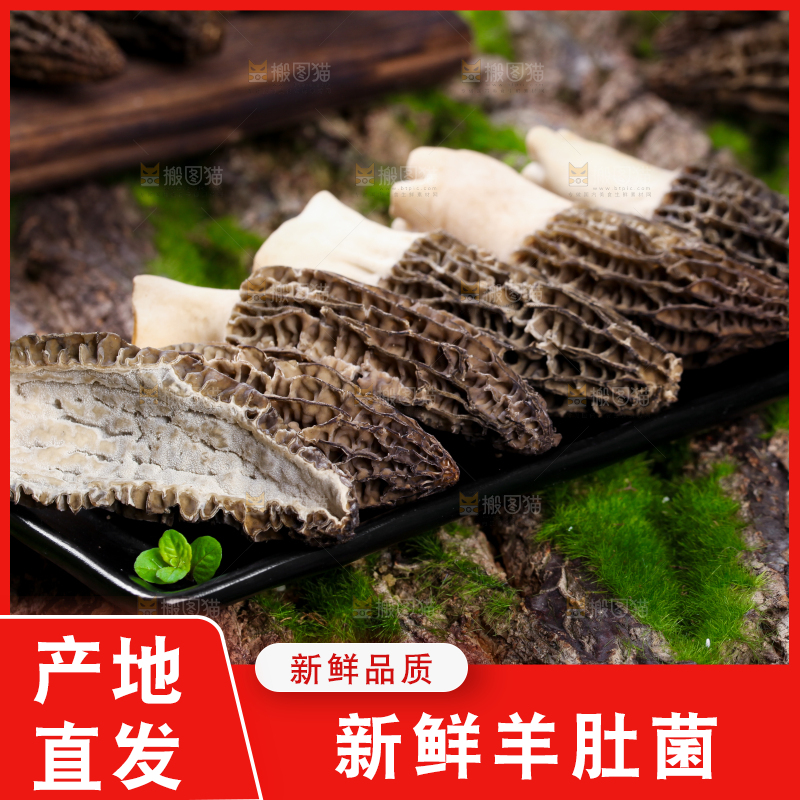 盘子里装着羊肚菌