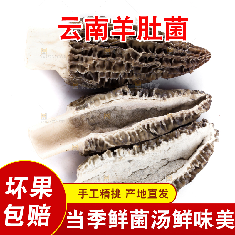 白底上放着羊肚菇