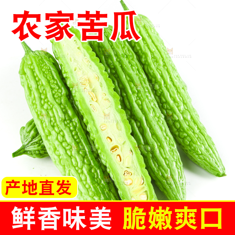 白底上摆放着凉瓜