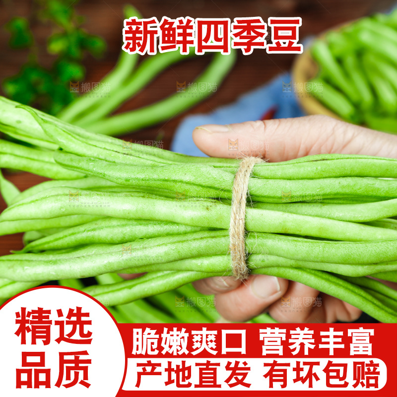 手里拿着四季豆