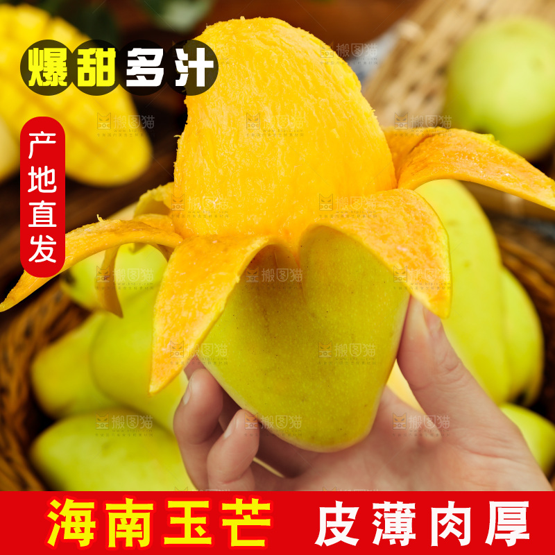 手里拿着芒果