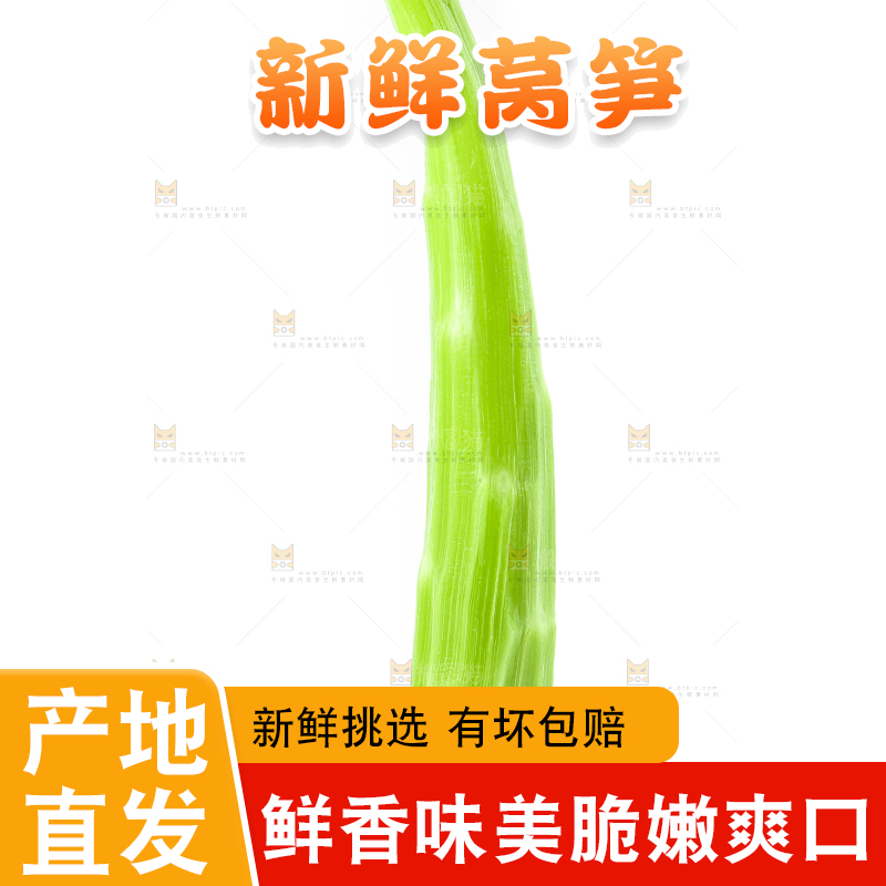 白底上摆放着莴笋