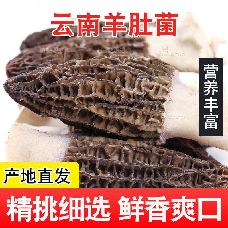 白底上摆放着羊肚菌