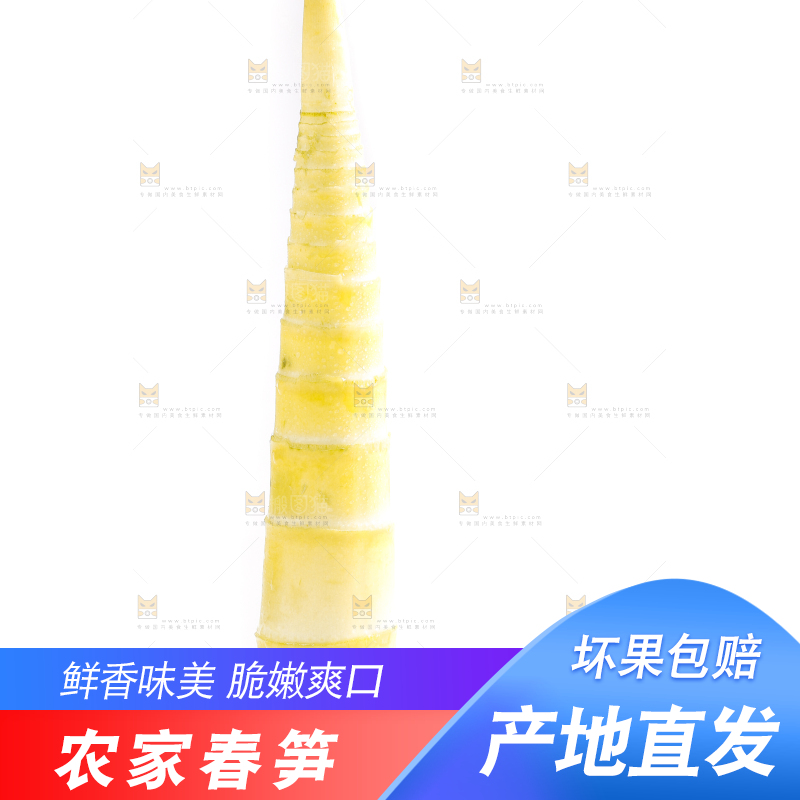 白底上放着竹笋