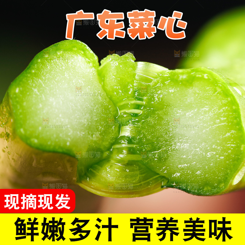 手里拿着广东菜心