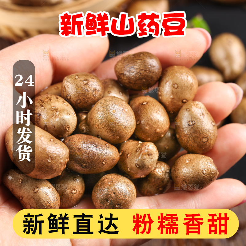 手里捧着山药籽