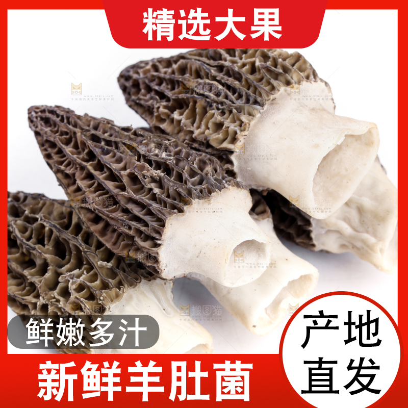 白底上摆放着羊肚菌