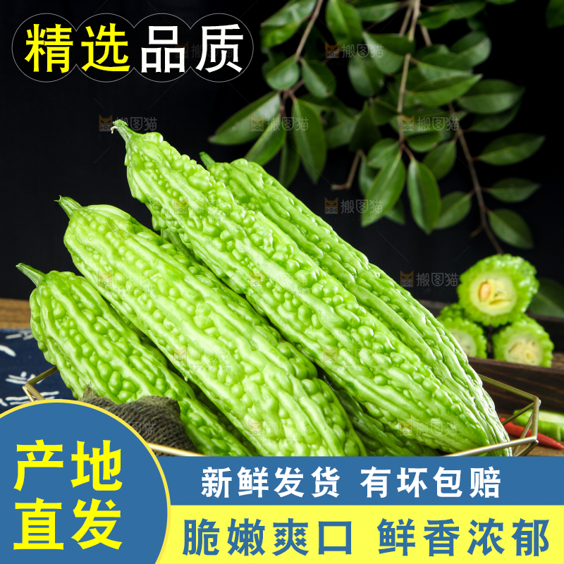 篮子里装着苦瓜