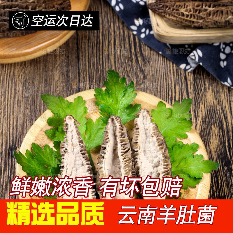 盘子里装着羊肚菌