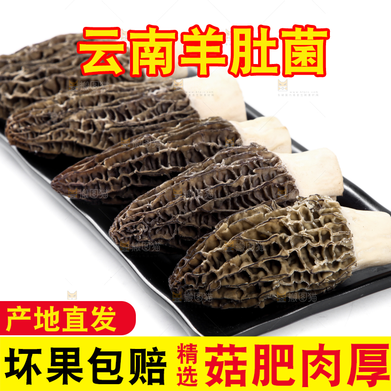 盘子里装着羊肚菌