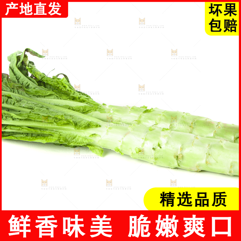 白底上放着莴笋