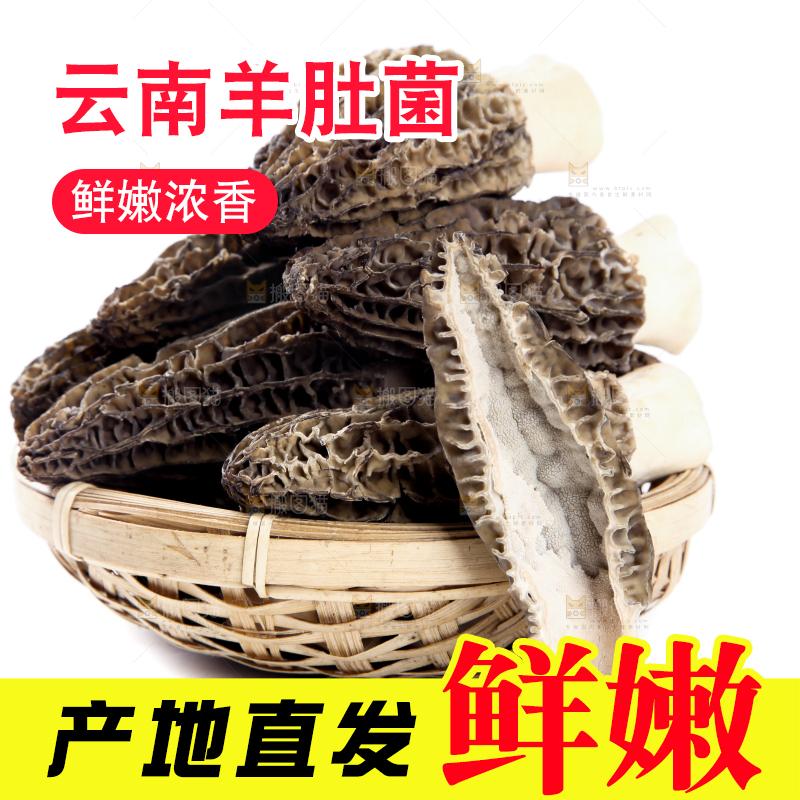 篮子里放着羊肚菇
