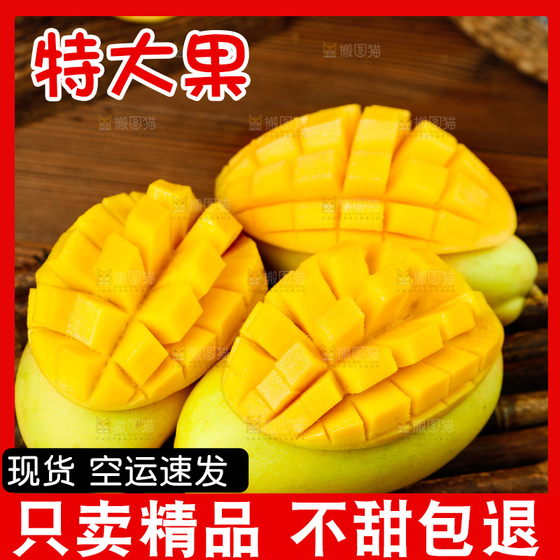 深底上摆放着玉芒