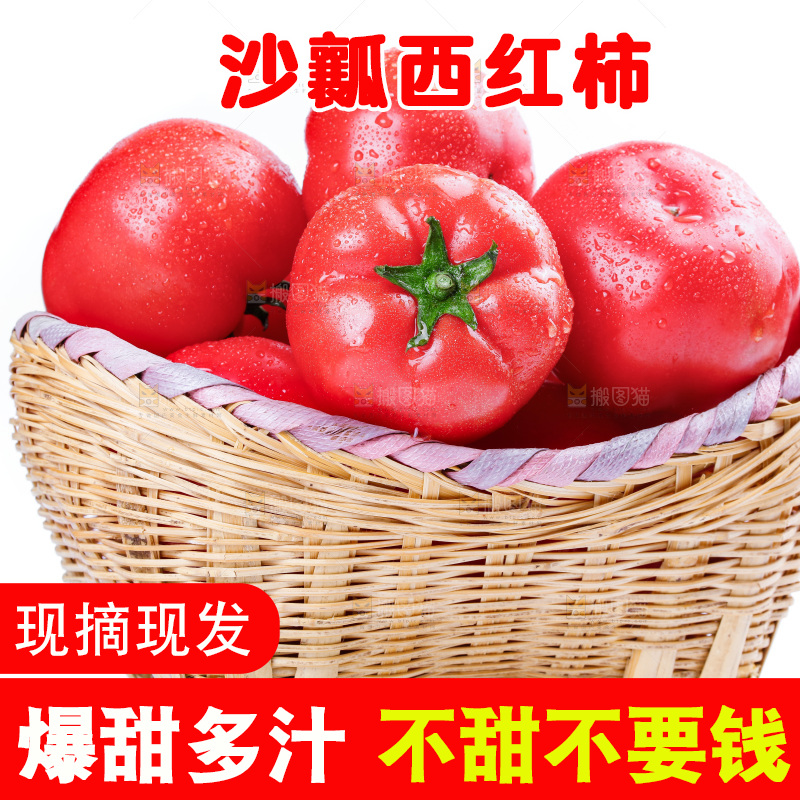 篮子里装着沙瓤西红柿