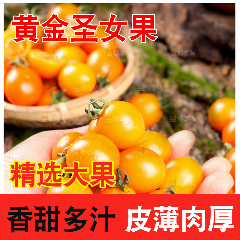 手里拿着小番茄