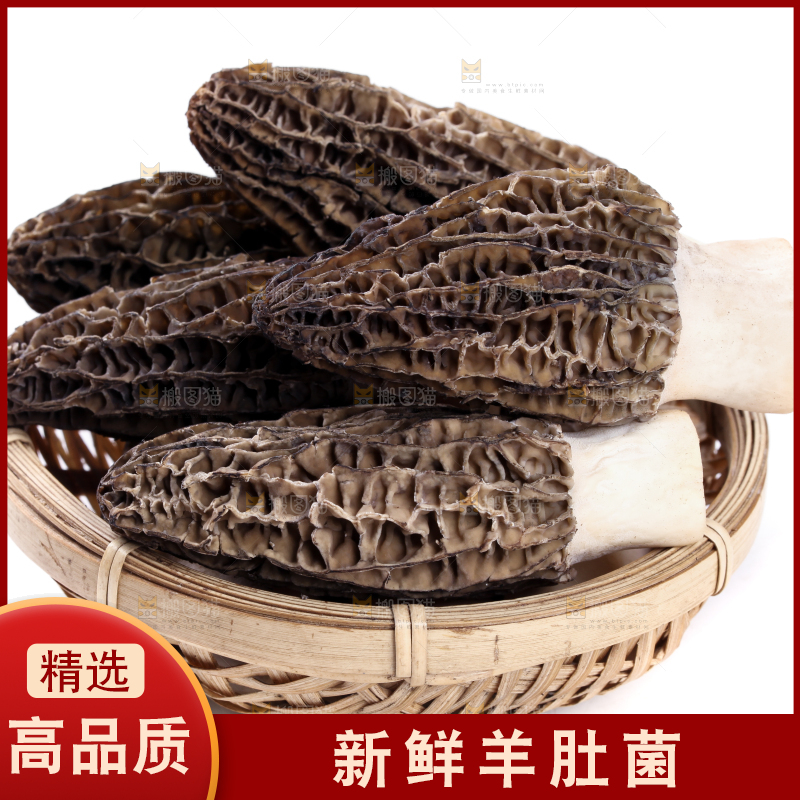 篮子里放着羊肚菇