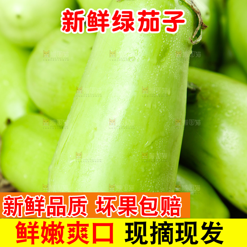 篮子里装着青茄子