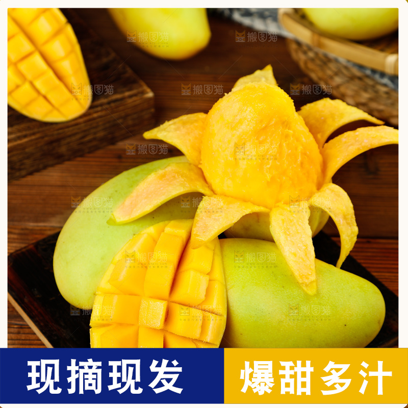 深底上摆放着玉芒