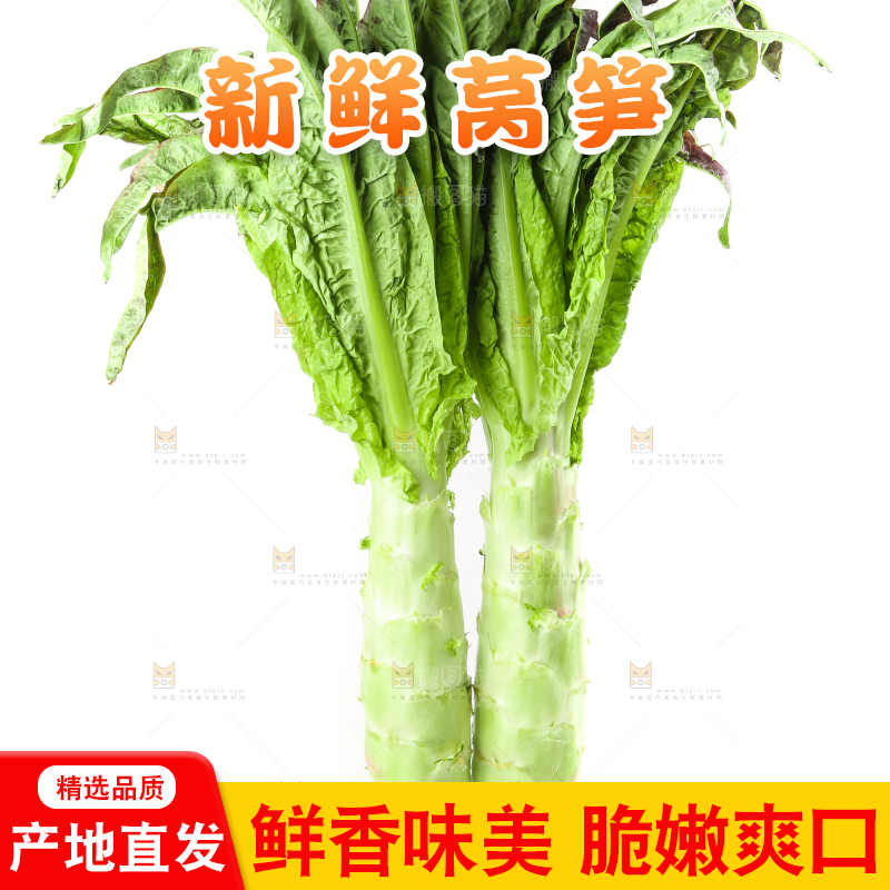 白底上放着莴笋