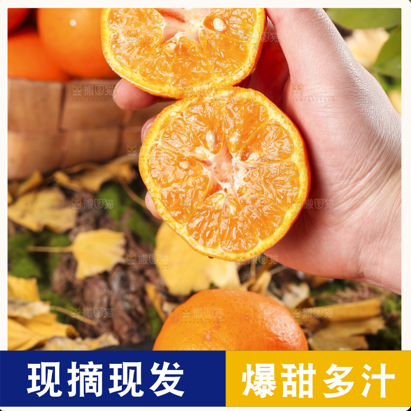 黑石板上的云南椪柑