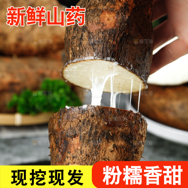 黑底上的金秤砣山药